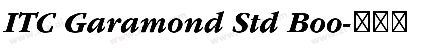 ITC Garamond Std Boo字体转换
